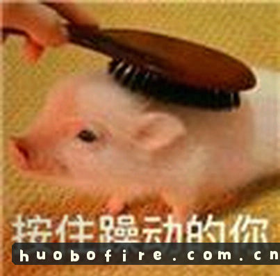 大鹏